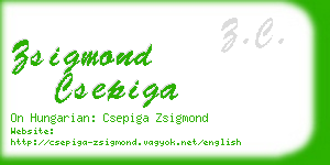 zsigmond csepiga business card